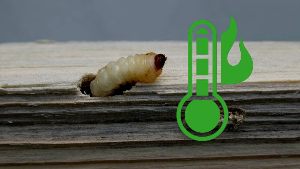 Houtworm bestrijden met hitte